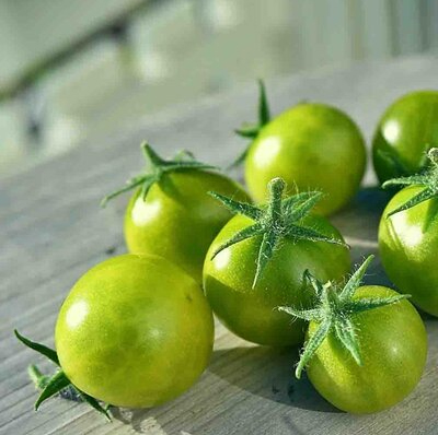 Tomato Dwarf Grinch Cherry, Зелёный черри-томат